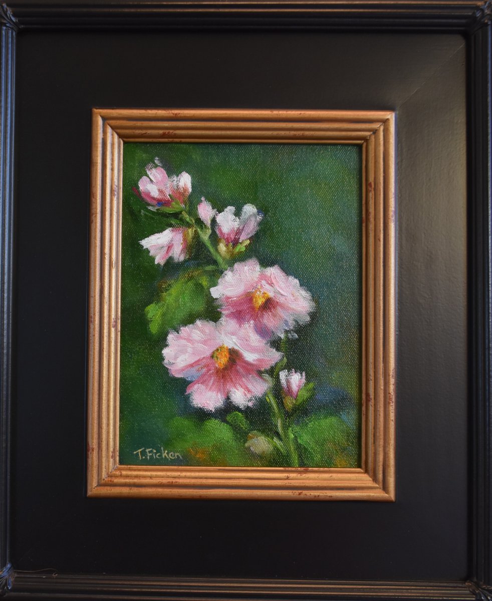 Photo of Pink Hollyhocks
